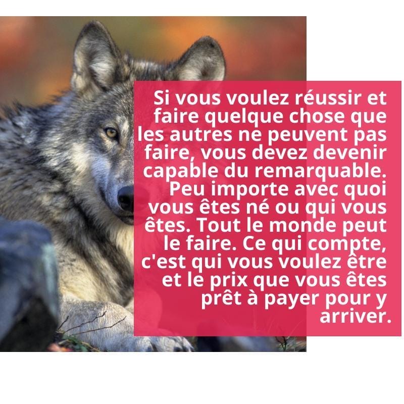 Qui voulez-vous être ? Qui voulez-vous être ?