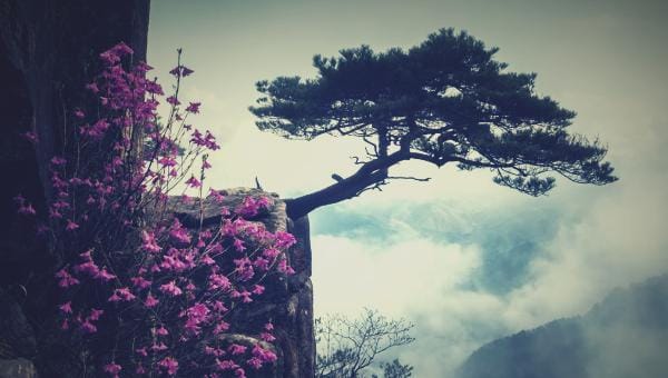 Il n&rsquo;y a aucune excuse