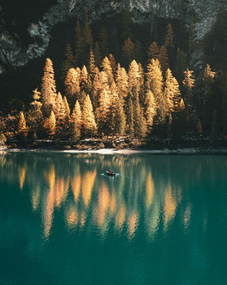 Ce que la nature peut nous apprendre sur l'amour et la perte Ce que la nature peut nous apprendre sur l’amour et la perte