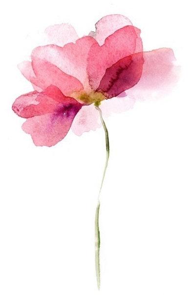 KAIZEN | Formation continue en développement personnel