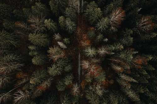 Quelles « gênes » tolérez-vous dans votre vie ?