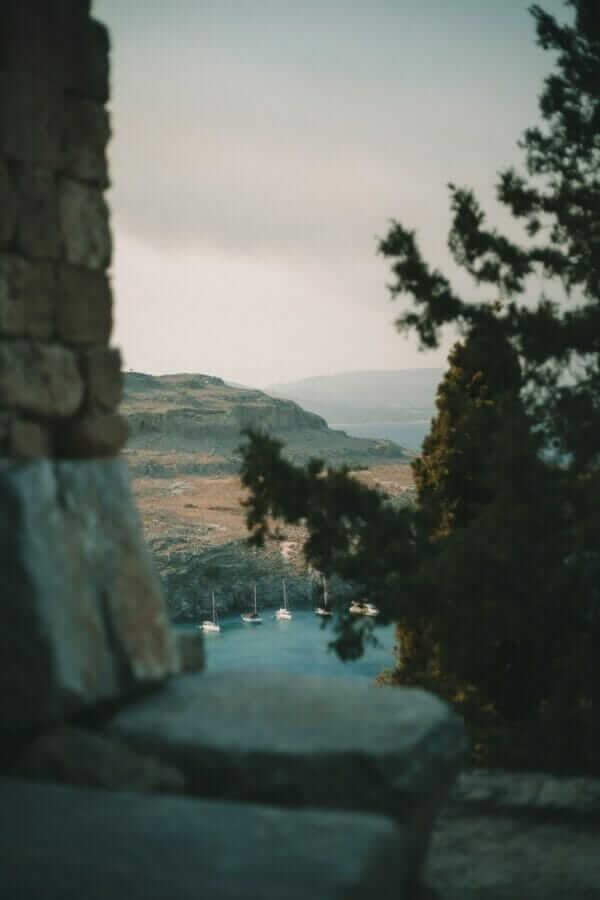 green trees near body of water during daytime