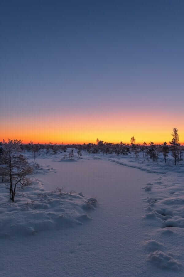 Ressentez la vérité et le pouvoir de qui vous êtes