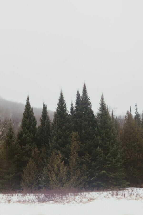 Commencez par être reconnaissant