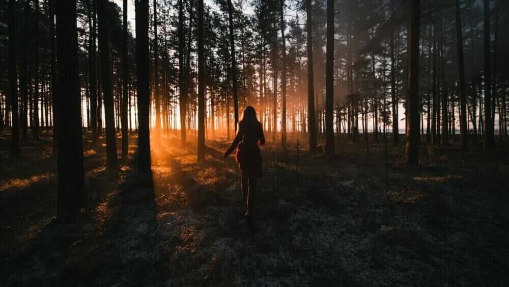 woman in black dress standing on forest during daytime