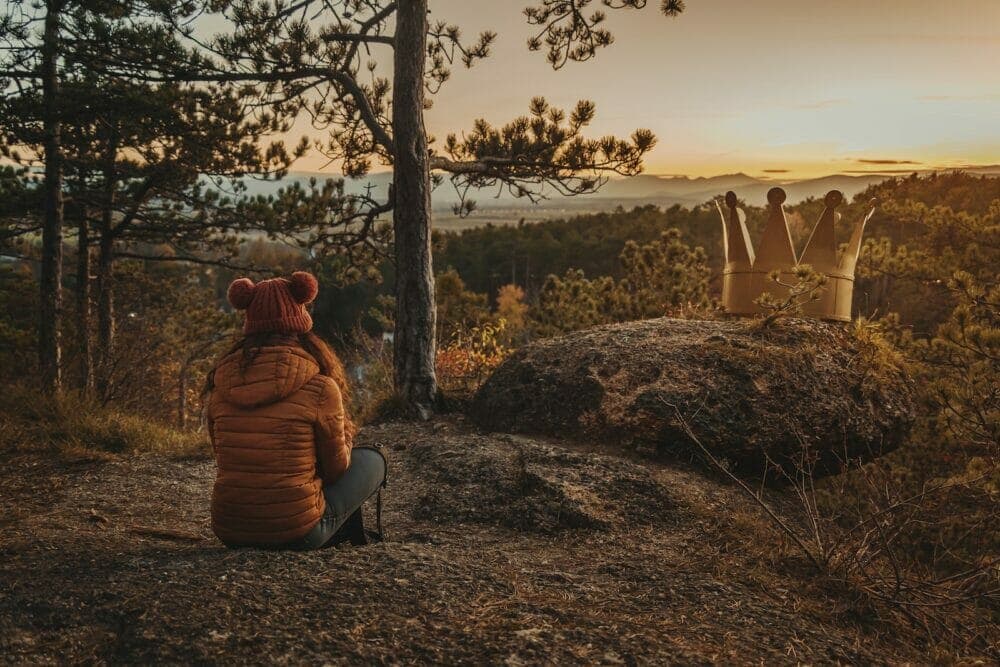 a person sitting on top of a hill next to a forest