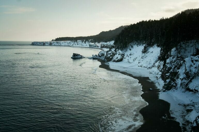 a beach covered in snow next to a forest