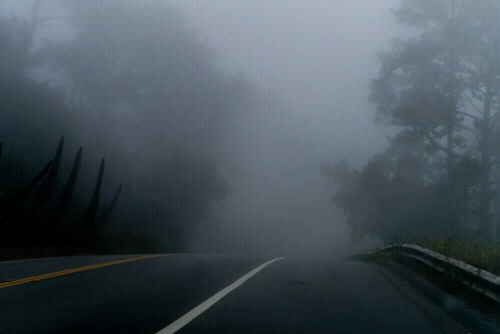 grey road between trees