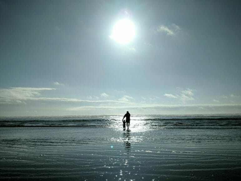 man and toddler walking on seashore