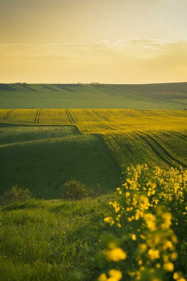 A magical landscape with the sunset