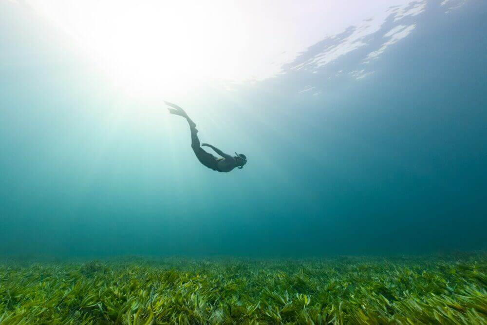 a person swimming in the water with grass
