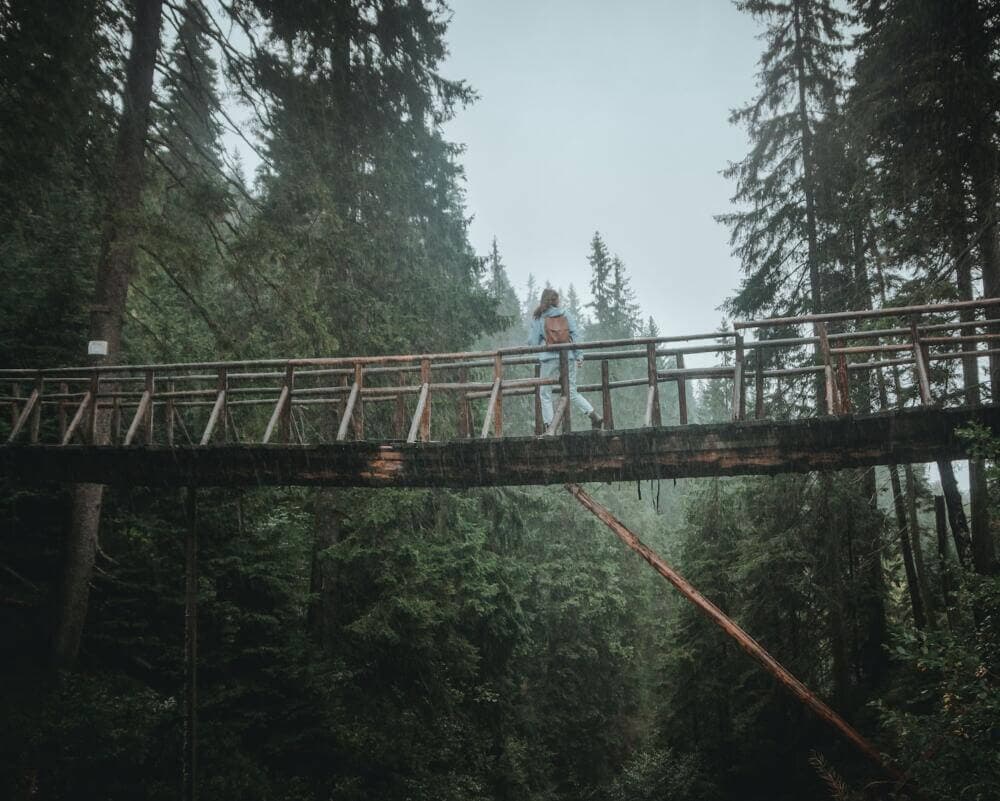 a man standing on a bridge in the middle of a forest