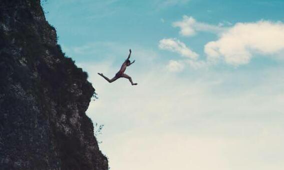 green trees beside river during daytime
