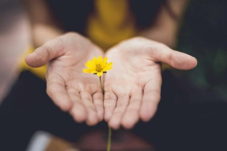 Quels Sont Les Bienfaits De La Méditation De Pleine Conscience Pour La Compréhension De Vos émotions ? selective focus photography of woman holding yellow petaled flowers