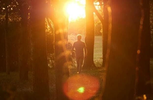 a person walking through a forest with the sun shining through the trees