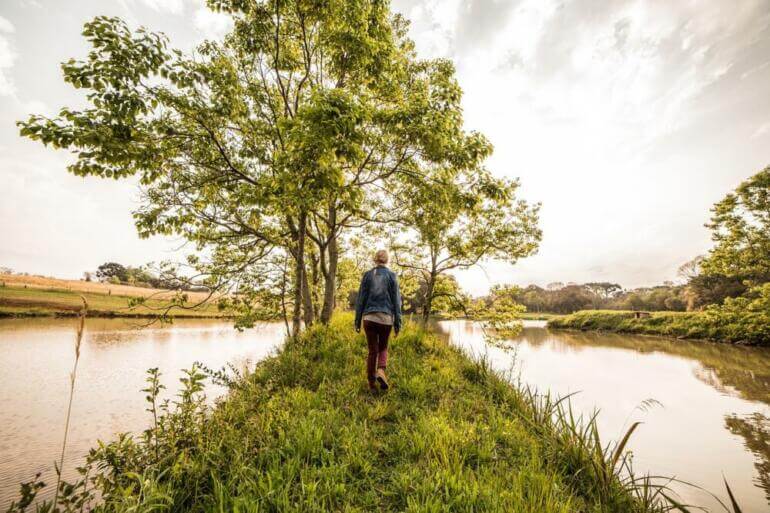 Reprendre le contrôle de votre vie: Comment sortir de la routine tree, nature, sky