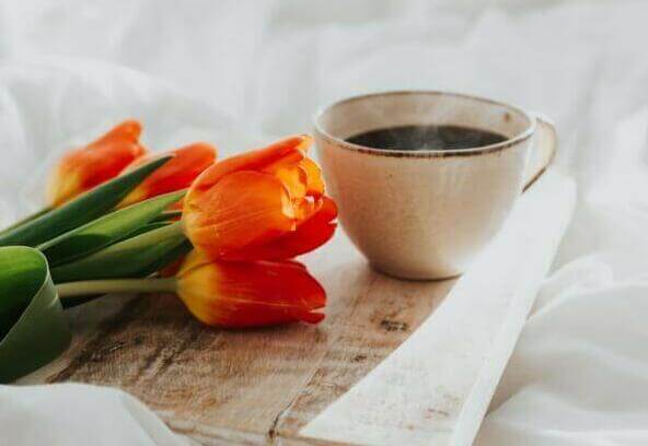 orange tulips on brown wooden table