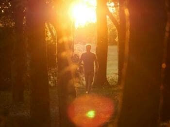 a person walking through a forest with the sun shining through the trees